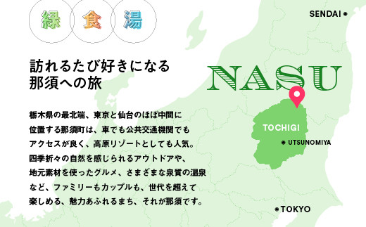 【10月から利用上限変更】那須温泉旅館協同組合　ご宿泊利用券45,000円分（3,000円×15枚）〔H-8〕≪旅行 旅 旅館 温泉 自然≫