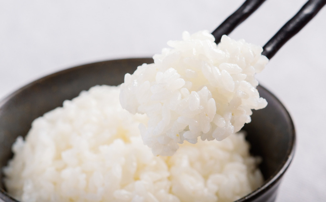 【先行予約】令和8年産 ふっくりんこ5kg NAZ017