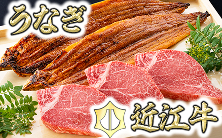 近江牛 うなぎ セット ヒレステーキ 3枚 うなぎ 蒲焼 2尾 【D020W】 国産 和牛 牛肉 うなぎ うなぎ