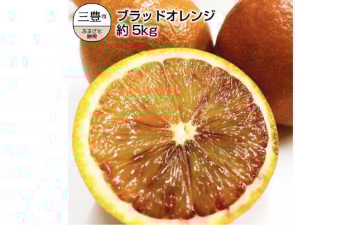 
            【ふるさと納税】国産希少オレンジ 「ブラッドオレンジ」 約5kg
          