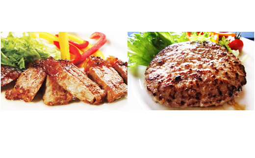 【ブランド黒豚】桑水流黒豚みそ漬＆ミニハンバーグセット  計460g（豚肉 黒豚 豚 肉 お肉 味噌漬け ハンバーグ）_イメージ2