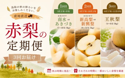 
                  赤梨の定期便
                