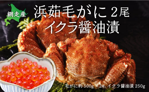 厳選 浜茹毛がに2尾イクラ醤油漬（網走産） 【 ふるさと納税 人気 おすすめ ランキング 毛がに いくら醤油漬 鮭いくら セット おいしい 北海道 網走市 送料無料 】 ABC001