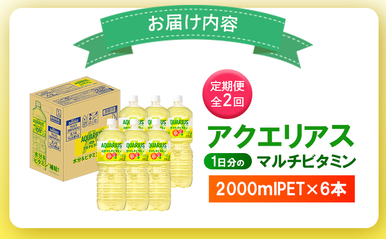 【定期便：全2回】アクエリアス 1日分のマルチビタミン　2LPET×6本【380086】