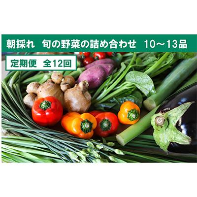 ふるさと納税 土佐市 【毎月定期便】土佐野菜の旬の野菜詰め合わせ　10〜13品目全12回