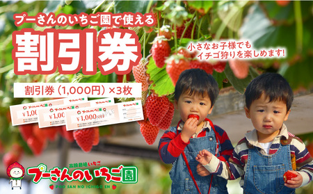 プーさんのいちご園　割引券（3,000円分）イチゴ狩り 高設栽培 多段式 バリアフリー 車椅子 子供 品種 完熟 摘みたて 新鮮 家族 清潔 福岡県 八女市 090-005