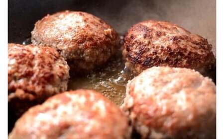 土佐あかうしと四万十ポークのハンバーグ10個 ハンバーグ 惣菜 おかず お取り寄せ