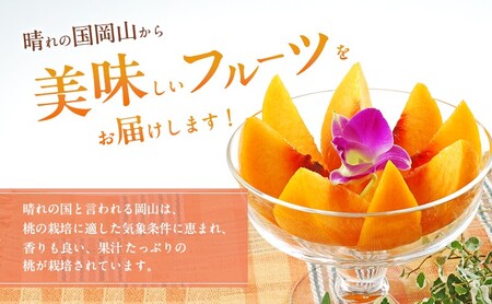 桃 2024年 先行予約 岡山 黄金桃 ご家庭用 約1.9kg 6～9玉入り もも モモ 岡山県産 国産 フルーツ 果物 直送！せとうちバスケット