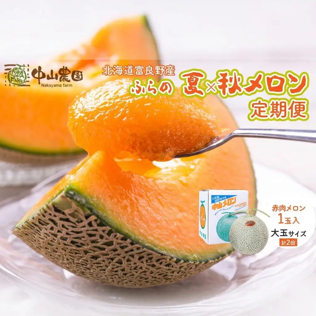 富良野メロン 夏メロン 秋メロン 中山農園 富良野メロン【計2玉】【2回定期便】[先行予約]