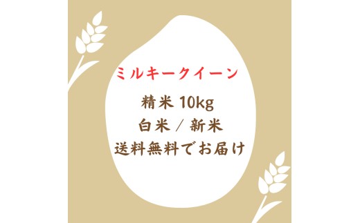 モチモチふっくら「ミルキークイーン」精米10kg ／ 米 こめ コメ お米 ご飯 ごはん ミルキークイーン 白米 精米 令和7年産 新米 10kg 利根町 送料無料