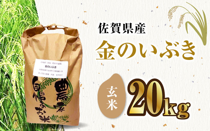 栽培期間中農薬不使用 令和5年産 金のいぶき 玄米 20kg 武雄市/鶴ノ原北川農園 [UDL023]