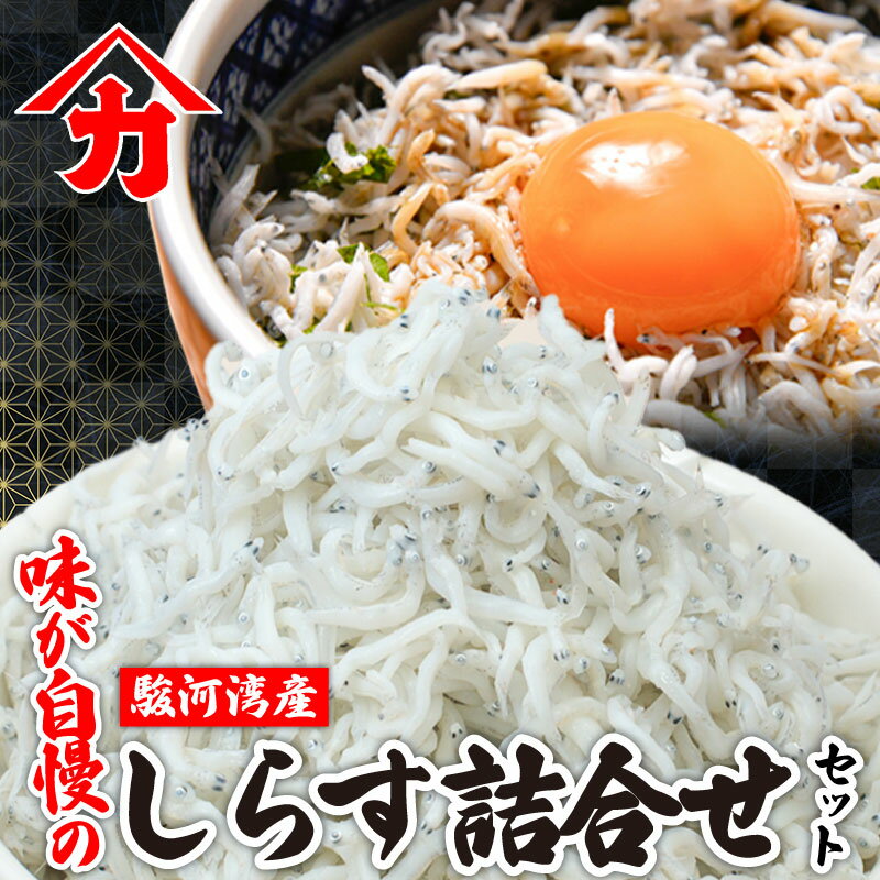 【ふるさと納税】 駿河湾産 しらす 詰合せ 釜揚げ ちりめん 佃煮 干し 天ぷら かき揚げ チャーハン パスタ うどん ごはん おかず おすすめ 新鮮 海鮮 丼 料理 魚介 しらす料理 駿河湾 特産品 グルメ 海の幸 お取り寄せ 贈り物 ギフト 静岡 牧之原市 静岡県