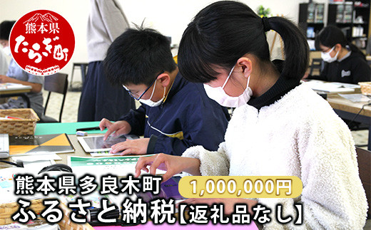 
熊本県多良木町への寄附（返礼品はありません）【 ふるさと納税 熊本県 多良木町 応援 寄附 】 028-0344-1000
