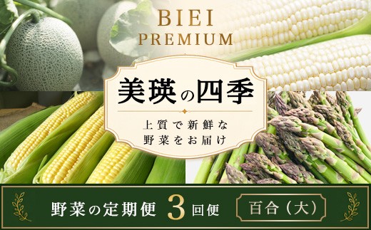 
                  【令和9年産 先行予約】野菜 定期便 3回便 美瑛の四季～百合（大）～ アスパラ メロン とうもろこし |  野菜 果物 フルーツ グリーンアスパラ ラスノーブル アスパラガス  めろん トウモロコシ コーン とうきび 送料無料 セット 人気 おすすめ ランキング 3回便 3回 3ヶ月 3ヵ月 3か月 北海道 美瑛町 美瑛 [050-58]
                