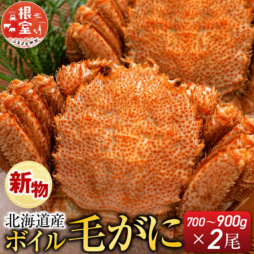 【ふるさと納税】根室海鮮市場＜直送＞ボイル毛がに700〜900g×2尾 D-28055