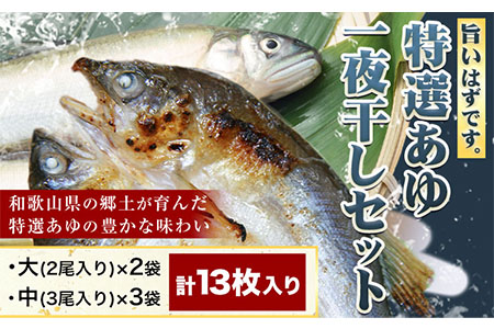 「旨いはずです。」特選あゆ一夜干しセット(13枚入) 日高川漁業協同組合《90日以内に出荷予定(土日祝除く)》 和歌山県 日高川町 あゆ 鮎 魚 一夜干し---wshg_fhgtayuh_90d_22_14000_13p---