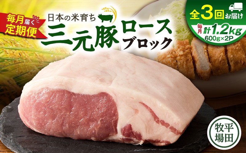 【全3回 毎月定期便】日本の米育ち平田牧場三元豚ロースブロック 1.2kg　T036-T07-01