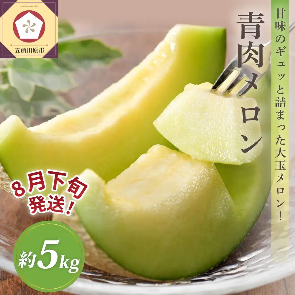 【2026年8月下旬発送】津軽産 青肉 メロン 約5kg ( 3~6玉 ) ご家庭用 品種おまかせ 【青森メロン】