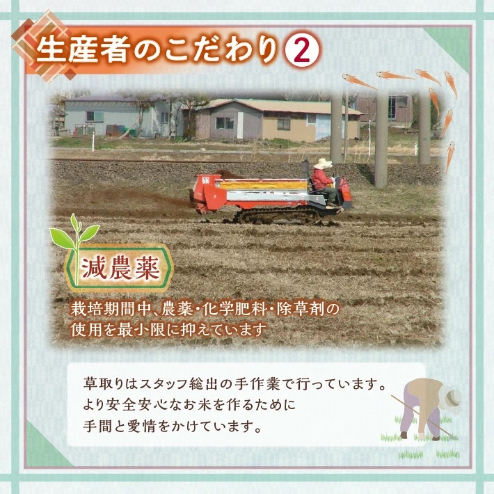 特別栽培米 ひとめぼれ 玄米 5kg 山形県遊佐産 鳥海山の恵（令和6年産米）