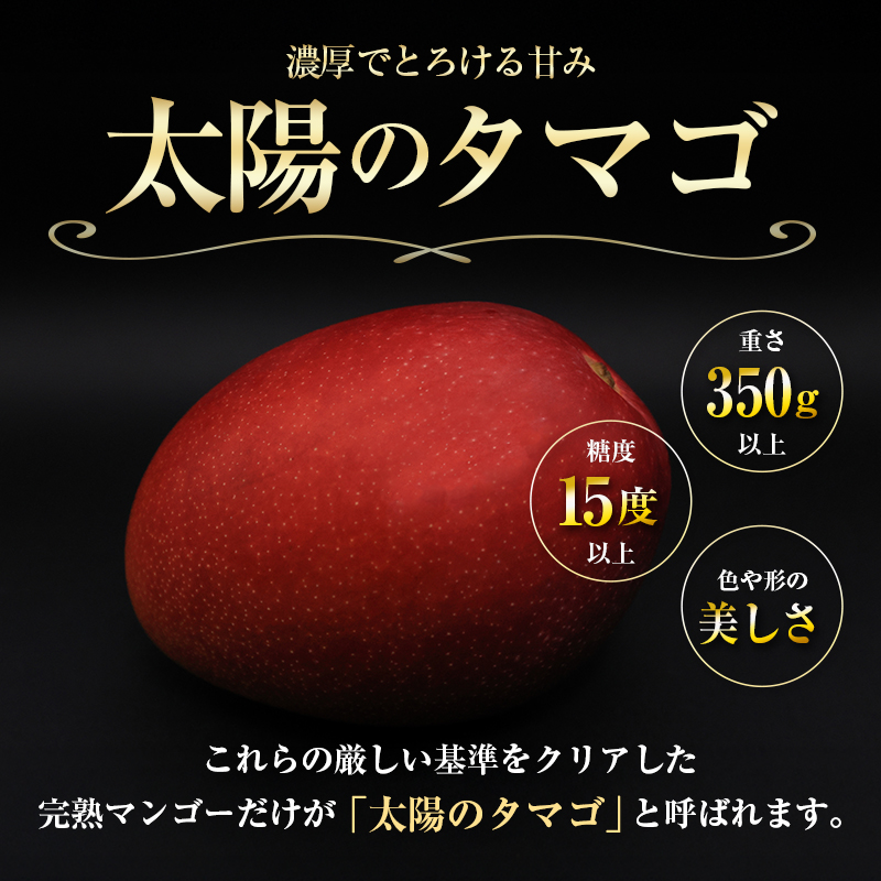 【2026年発送 先行予約】完熟マンゴー「太陽のタマゴ」 2L×2玉（フルーツ マンゴー 完熟マンゴー アップルマンゴー 果物 くだもの 先行受付 2026 令和8年 宮崎） ２L×２玉