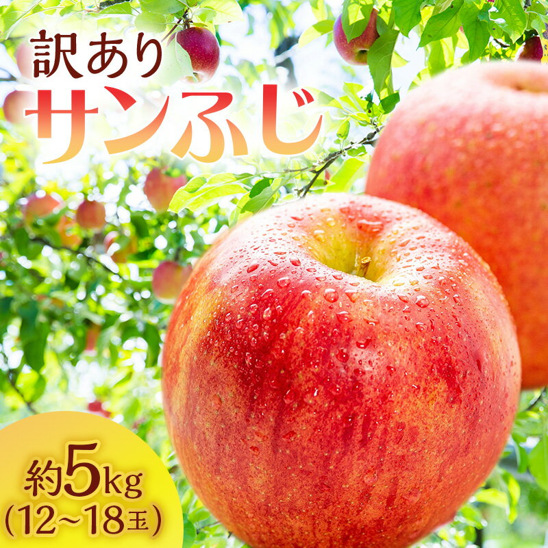 【ふるさと納税】りんご 訳あり 青森 サンふじ 約 5kg （12～18玉) リンゴ サイキチ農園 青森県 鰺ヶ沢町産 フルーツ 果物 不揃い 傷 林檎 サンフジ ふじ 2024 12月～1月発送 　お届け：2025年12月10日～2026年1月10日