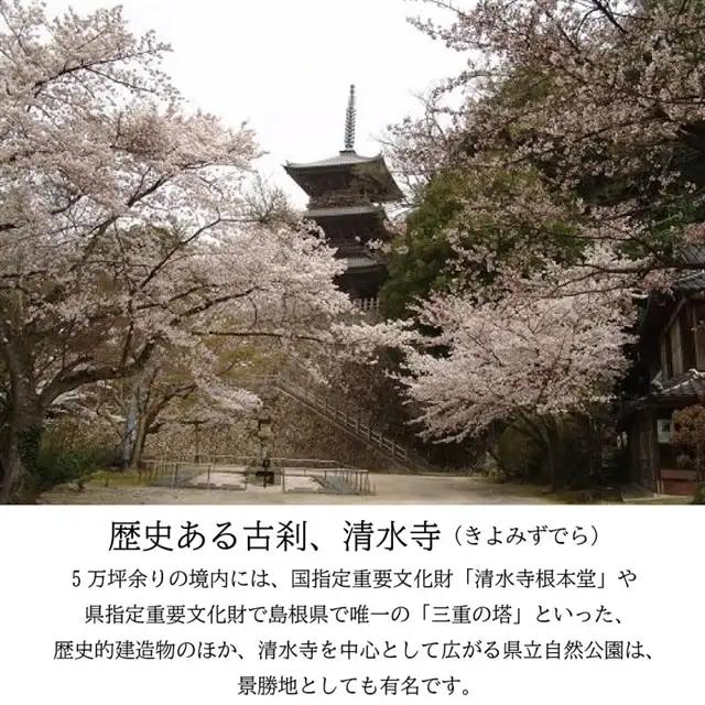 境内の宿　紅葉館　ご宿泊券　10,000円分【宿泊券 安来清水寺 精進料理 宿 チケット 癒し 旅行 旅 ヘルシー リフレッシュ 自然 島根県 安来市】【34-KY-02】