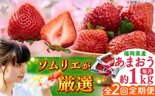 【全2回定期便】福岡産 春あまおう 250g×4パック 吉富町/南国フルーツ株式会社 [BGAG051] 果物 苺 イチゴ あまおう アマオウ 福岡 フルーツ いちご 先行予約 定期 2回 あまおう いちご 苺