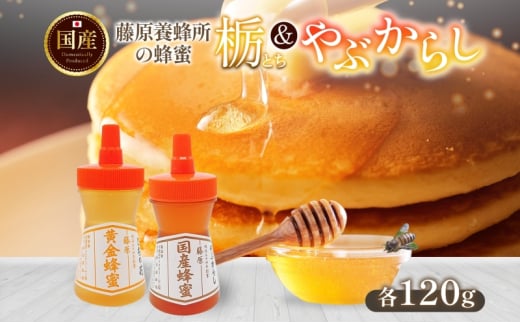 はちみつ 栃 やぶからし 各120g 計240g 藤原黄金蜂蜜 藤原国産蜂蜜 食べ比べ セット 国産はちみつ 天然 無添加 とち ヤブカラシ 単花蜜 朝しぼり 完熟 ハチミツ パン 菓子 トースト ホットケーキ ヨーグルト 調味料 隠し味 朝食 岩手県 盛岡市 東北 岩手 盛岡 藤原養蜂場