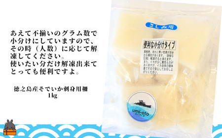 徳之島の漁師が荒波で釣り上げたそでいか 冷凍お刺身用小分け柵 1kg（約10人前） （ ソデイカ いか イカ 大型のいか 回遊 お刺身 甘い ねっとり 冷凍 新鮮 お寿司 料理 徳之島 奄美 沖縄 鹿