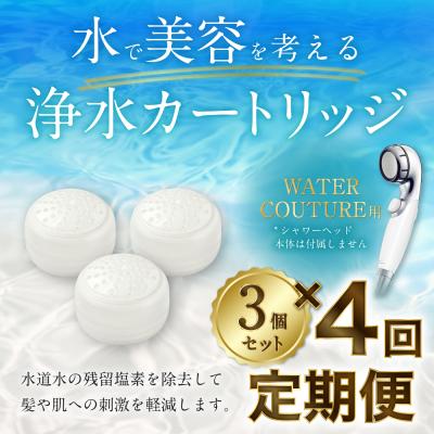 ふるさと納税 幸田町 【定期便】シャワーヘッド用 浄水カートリッジ  ( 3個セット × 年4回発送 定期便 )