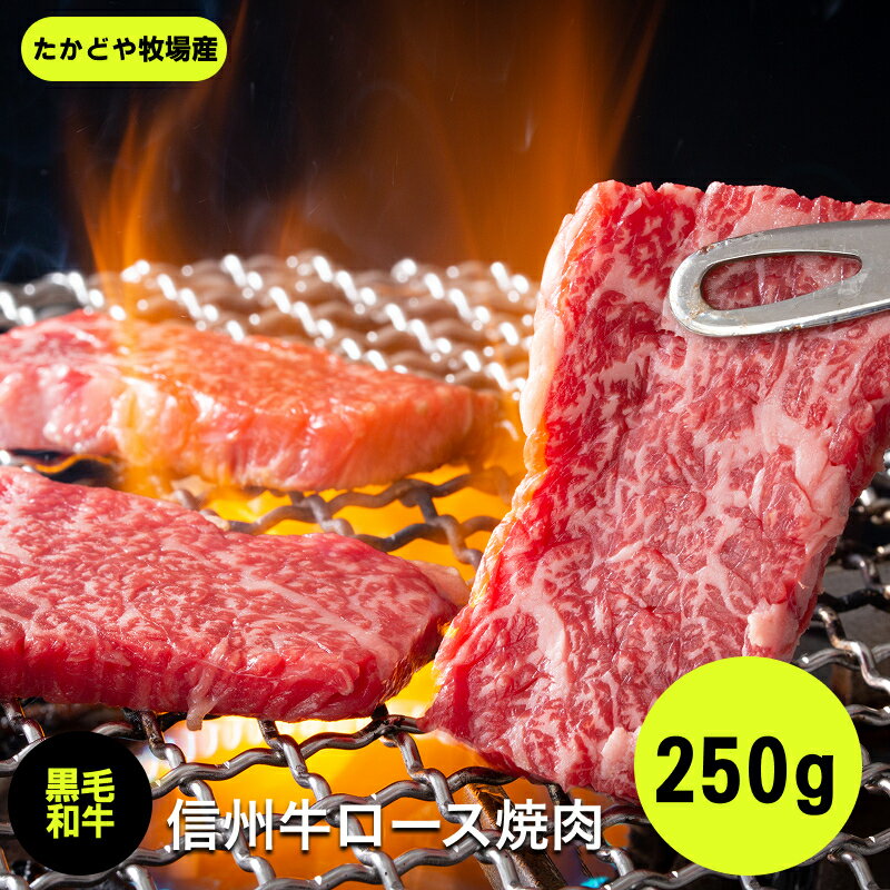 【ふるさと納税】 たかどや牧場産 黒毛和牛 信州牛 焼肉 250g | 肉 牛肉 黒毛和牛 信州牛 焼肉 三角バラ 長野県 飯田市 信州