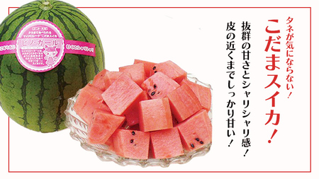 【 野菜ソムリエ 厳選 】 旬 の フルーツ定期便 ( フルーツトマト スタート ) 先行予約 [AF095ci]