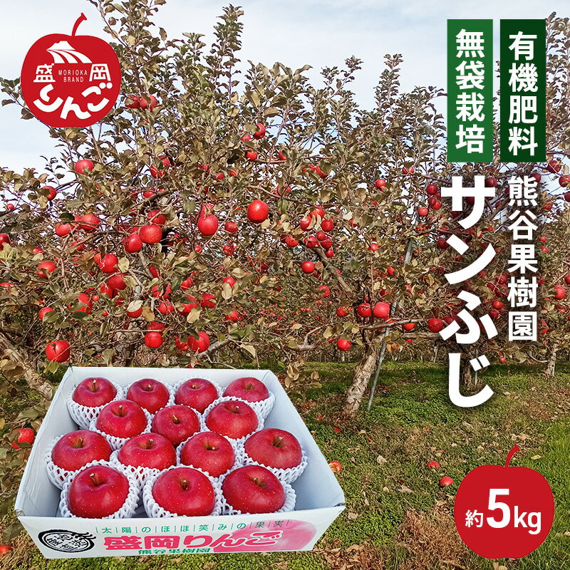 【ふるさと納税】数量限定 先行予約 りんご サンふじ 約5kg 13～16玉入 11月下旬より出荷 有機肥料 無袋栽培 林檎 リンゴ 果物 フルーツ 旬の果物 旬のフルーツ 季節の果物 季節のフルーツ 岩手りんご 限定 岩手県 盛岡市　お届け：2025年11月25日～2025年12月25日