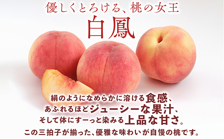 桃先行受付!　桃の王様【白鳳】　特秀品　食べきりやすい3個入り