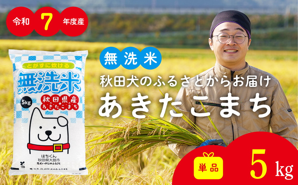 【令和7年産】秋田県産「あきたこまち（無洗米）」 5kg（5kg×1袋）【真正ファーム】