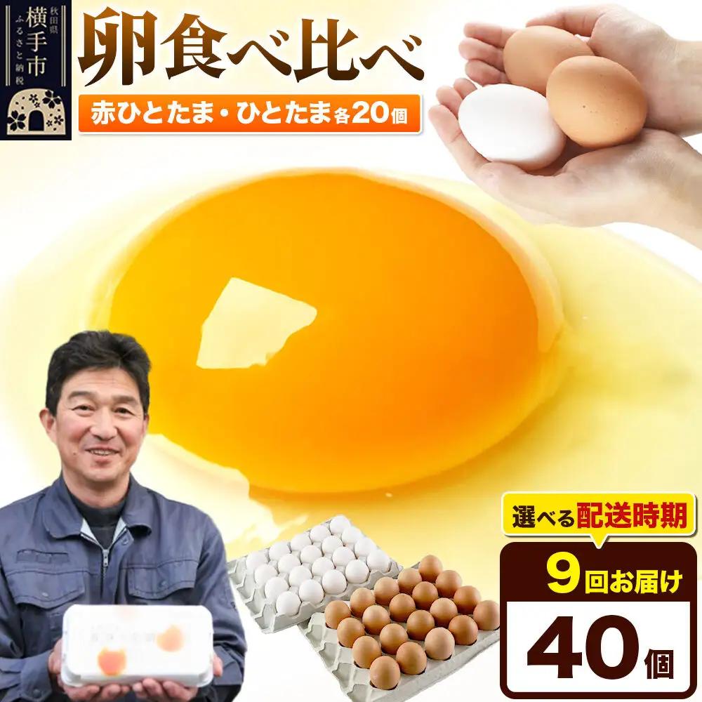 《定期便9ヶ月》赤ひとたま 20個・ひとたま 20個 計40個（業務用）