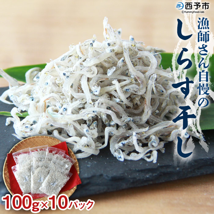 ＜漁師さん自慢のしらす干し 合計1kg（100g×10パック）＞ シラス 魚介類 さかな 海産物 海鮮 海の幸 小分け 国産 ご飯のお供 丼 おつまみ 晩酌 おかず おやつ 特産品 産地直送 濵田水産 愛媛県 西予市