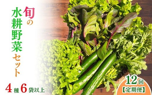 
                  野菜【12ヵ月定期便】亀岡産 旬の水耕野菜セット 4種6袋以上 | 野菜 ヤサイ やさい 春野菜 はるやさい ハルヤサイ 夏野菜 なつやさい ナツヤサイ 秋野菜 あきやさい アキヤサイ 冬野菜 ふゆやさい フユヤサイ 旬野菜 しゅんやさい シュンヤサイ 定期便 季節の野菜 旬の野菜 新鮮野菜 水耕野菜 産地直送 野菜定期便 セット 詰め合わせ サラダ 旬 新鮮 冷蔵 12回 京都府 亀岡市
                