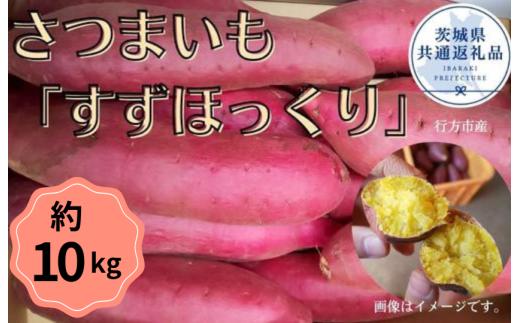 【2025年産】さつまいも「すずほっくり」約10kg（茨城県共通返礼品／行方市産）
