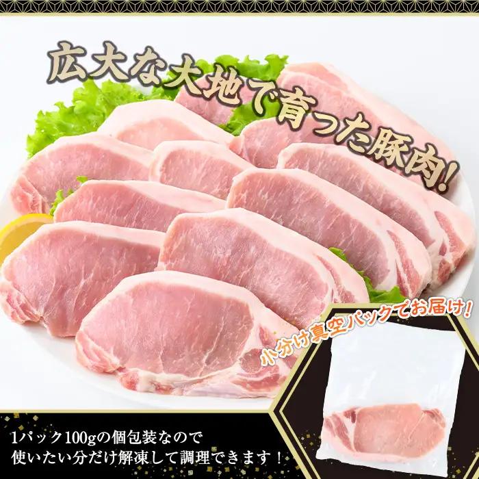 鹿児島県産 豚肉 ロース とんかつ (計3.2kg・100g×32P) 【株式会社羽根】A1083