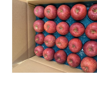 SevenApple木村農園から直送　樹上完熟さんふじ10kg