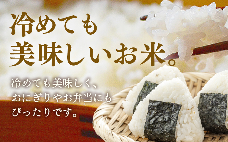 定期便 ≪3ヶ月連続お届け≫ 令和7年産 あきさかり 無洗米 10kg×3回（計30kg） ／ 米 10キロ 福井県産 ブランド米 あきさかり ご飯 白米 新鮮 高品質米 [aw121-d003]