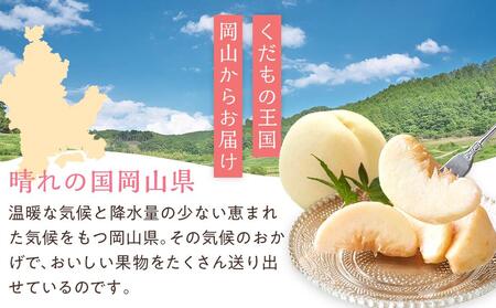 桃 2024年 先行予約 岡山 白桃 6～8玉入 約2.0kg 岡山市一宮地区産 もも モモ フルーツ 果物 ギフト[No.5220-0290]