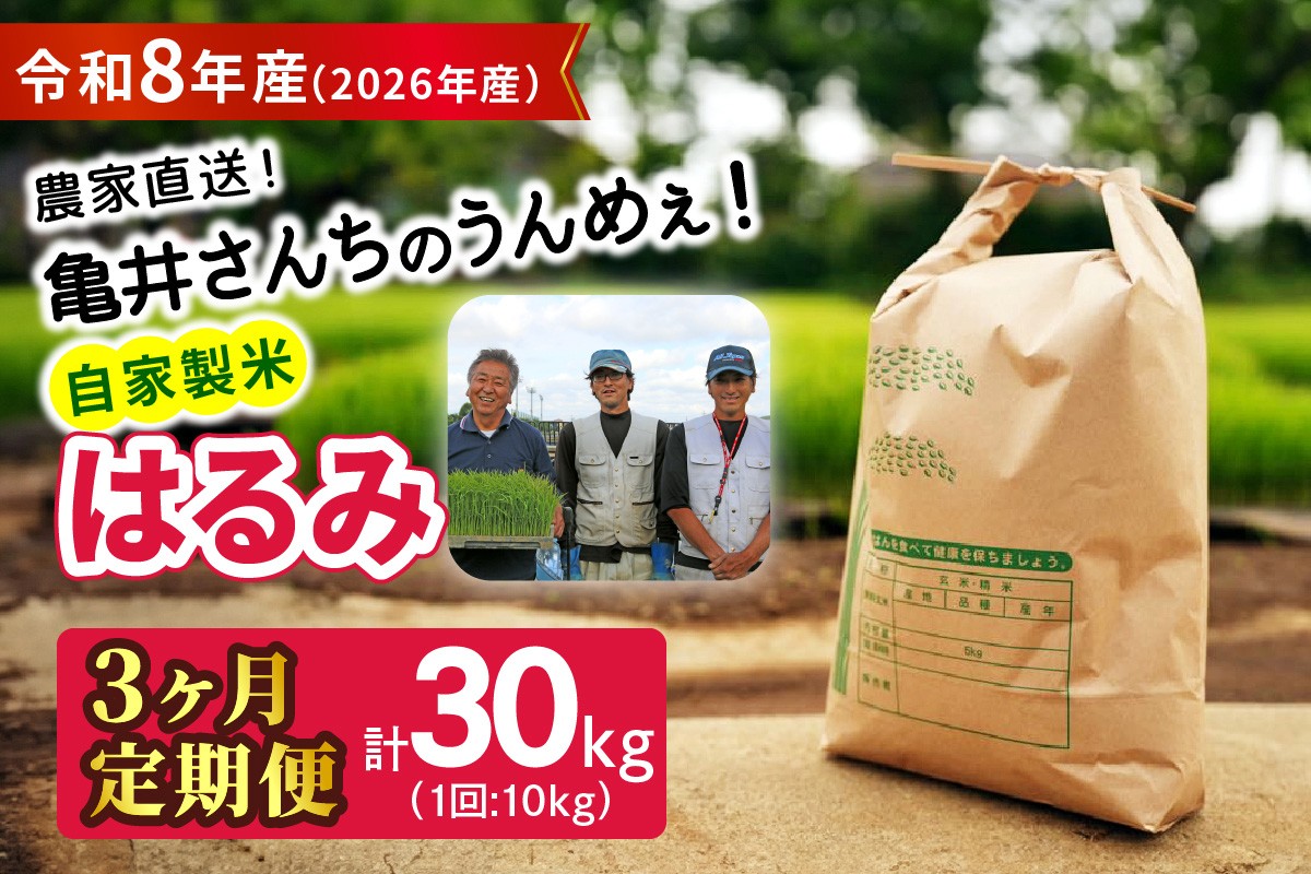 
                  新米 [定期便／3ヶ月連続][令和8年産／10月中旬より順次発送] 伊勢原産 精米 10kg (5kg×2袋) はるみ 農家直送！亀井さんちのうんめぇ！自家製米｜先行予約 お米 おこめ コメ 白米 神奈川 ブランド米 2026年 産地直送 [1140]
                