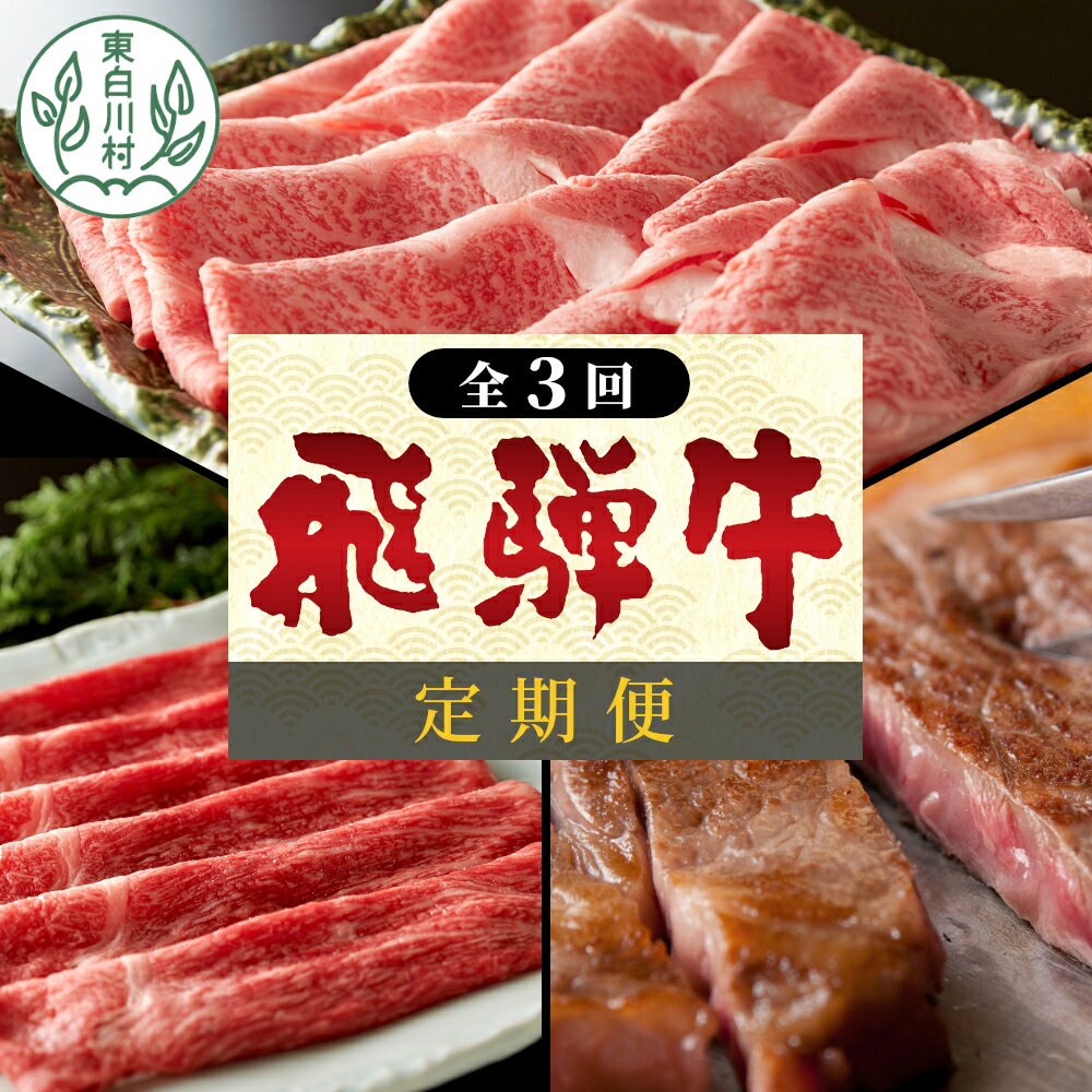 【ふるさと納税】発送月が選べる！ 飛騨牛 定期便 全3回 すき焼き しゃぶしゃぶ ステーキ 焼肉 BBQ ロース カタロース ロースステーキ サーロインステーキ モモ カタ 贅沢 贈り物 3ヶ月 定期 おすすめ 選べる 人気 飛騨 ブランド牛 養老ミート