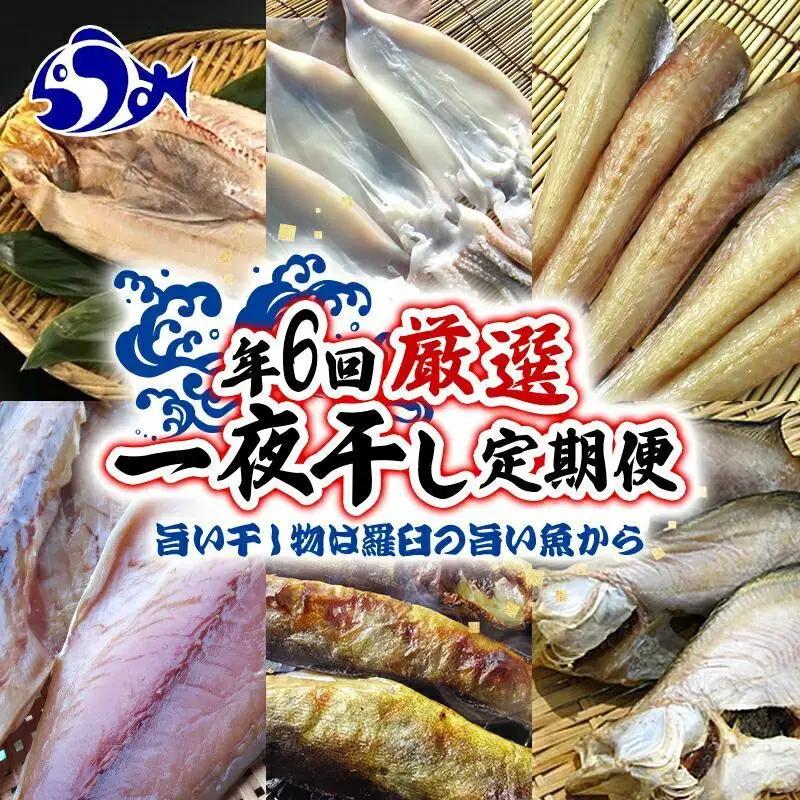 【年6回定期便】羅臼直送　厳選一夜干し｜一夜干し　北海道