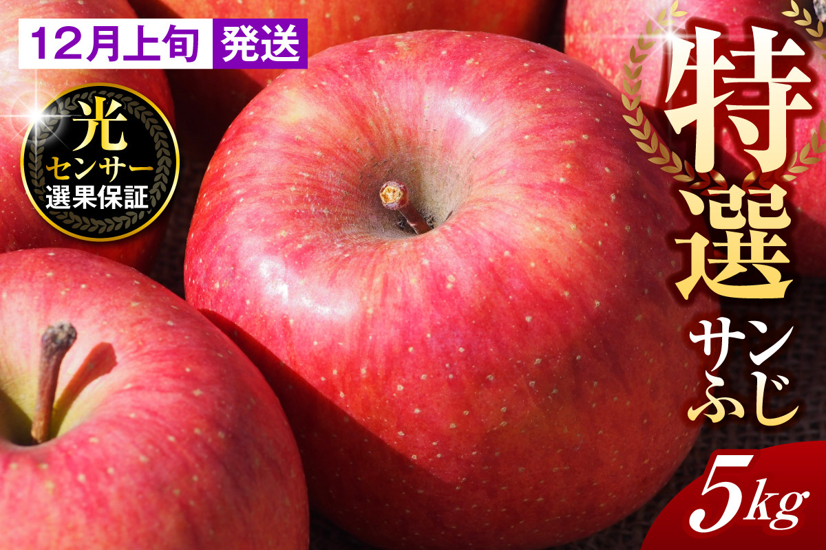 【2025年12月上旬発送】【特選】りんご 約5kg サンふじ 青森 五所川原