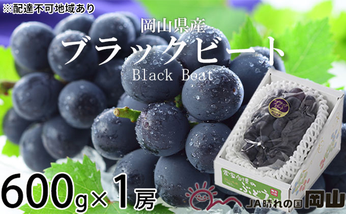 ぶどう 2026年 先行予約 ブラックビート 約600g×1房 ブドウ 葡萄  岡山県産 国産 フルーツ 果物 ギフト 岡山のブドウ デザート 食べ物 日本産 