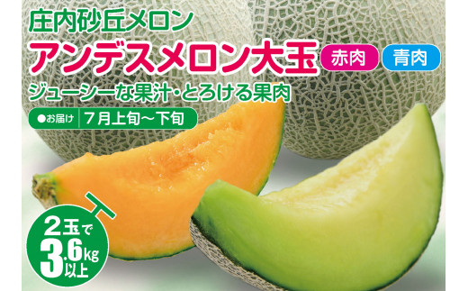 庄内砂丘メロン アンデスメロン(青肉・赤肉) 大玉2玉　計3.6kg以上　つる付き SA2964