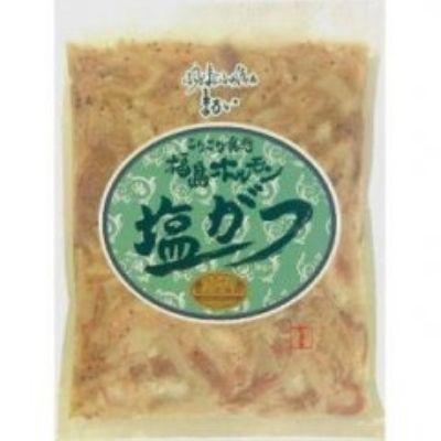 ふるさと納税 福島市 ふくしまご当地!福島ホルモン　塩がつ　麓山高原豚使用　【5パック入】No.1248